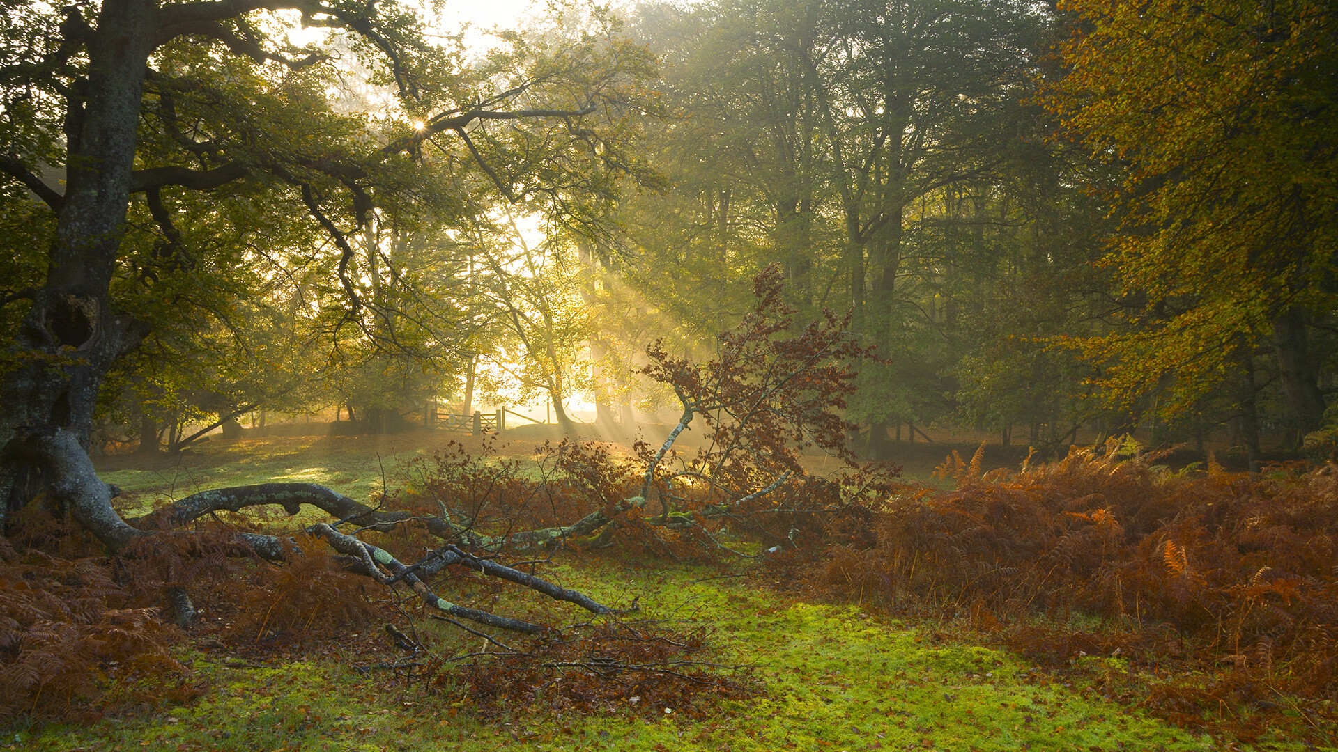 开云体育官网-平行时空的足球奇谭，阿森纳欧冠加时绝杀牙买加，一场穿越次元的梦幻对决